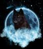 Kyria_Blackwolf